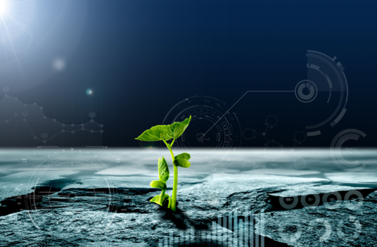 智慧農(nóng)業(yè)解決方案